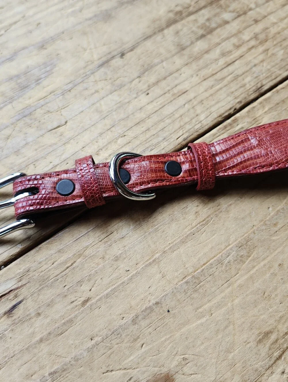 Red Lizard Large Dog Collar.